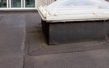 disadvantages of Ynysmaerdy flat roofs
